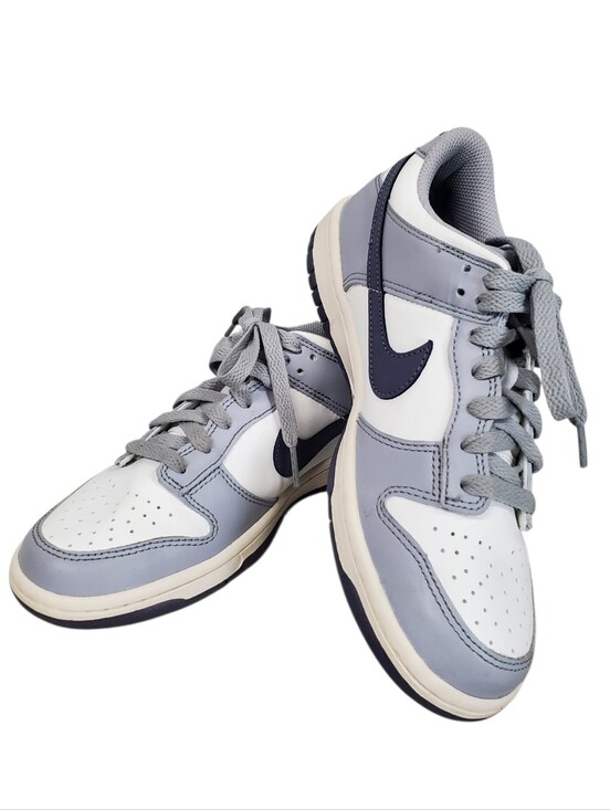 Nike Other - Nike Dunk Low Retro SE White Light Carbon US 5.5 Youth Athletic Tennis Shoes